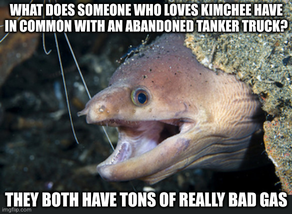 there's a joke in there somewhere if you sift around the shit | WHAT DOES SOMEONE WHO LOVES KIMCHEE HAVE
IN COMMON WITH AN ABANDONED TANKER TRUCK? THEY BOTH HAVE TONS OF REALLY BAD GAS | image tagged in happy eel | made w/ Imgflip meme maker
