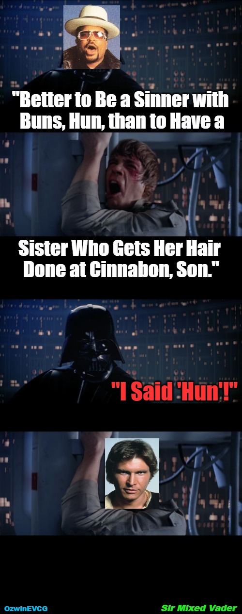 Sir Mixed Vader | "Better to Be a Sinner with 

Buns, Hun, than to Have a; Sister Who Gets Her Hair 

Done at Cinnabon, Son."; "I Said 'Hun'!"; Sir Mixed Vader; OzwinEVCG | image tagged in awkward,sir mix-a-lot,memes,star wars no,funny,real talk | made w/ Imgflip meme maker