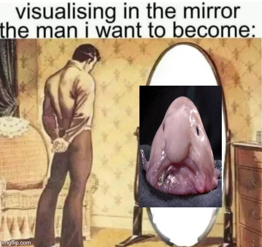 Visualising in the mirror the man i want to become: | image tagged in visualising in the mirror the man i want to become | made w/ Imgflip meme maker