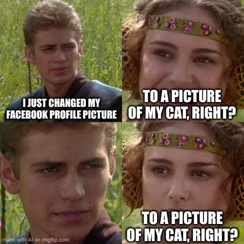 Anakin Padme 4 Panel | I JUST CHANGED MY FACEBOOK PROFILE PICTURE; TO A PICTURE OF MY CAT, RIGHT? TO A PICTURE OF MY CAT, RIGHT? | image tagged in anakin padme 4 panel | made w/ Imgflip meme maker