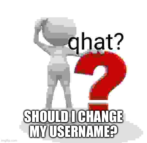 qhat? | SHOULD I CHANGE MY USERNAME? | image tagged in qhat | made w/ Imgflip meme maker