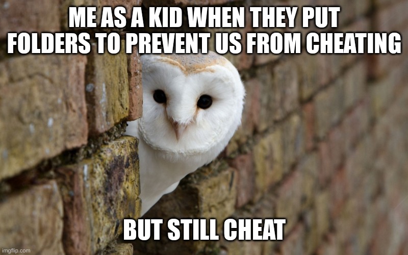those folders couldn't stop me | ME AS A KID WHEN THEY PUT FOLDERS TO PREVENT US FROM CHEATING; BUT STILL CHEAT | image tagged in peeking owl,memes,funny,school,folders,tests | made w/ Imgflip meme maker