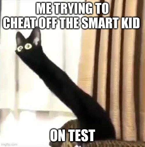 trying not to be obvious | ME TRYING TO CHEAT OFF THE SMART KID; ON TEST | image tagged in long neck cat,memes,funny,school,peeking,test | made w/ Imgflip meme maker