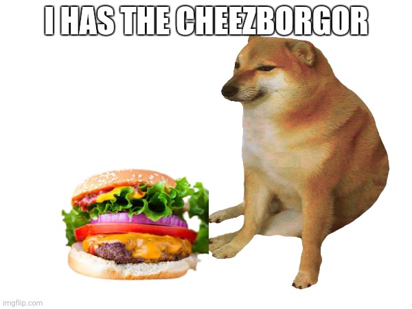 @TheMangledCreation like this? | I HAS THE CHEEZBORGOR | image tagged in cheems | made w/ Imgflip meme maker