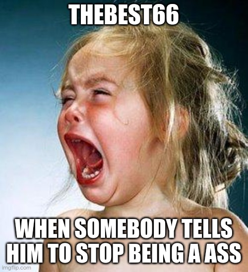crying girl | THEBEST66; WHEN SOMEBODY TELLS HIM TO STOP BEING A ASS | image tagged in crying girl | made w/ Imgflip meme maker