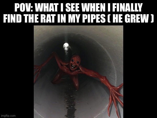 Vita cranes | POV: WHAT I SEE WHEN I FINALLY FIND THE RAT IN MY PIPES ( HE GREW ) | image tagged in funny | made w/ Imgflip meme maker