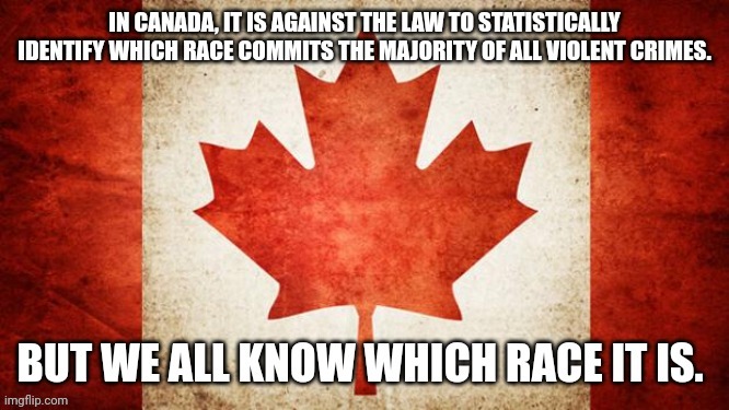 don-t-blame-me-if-you-know-which-race-it-is-i-ve-literally-not-named