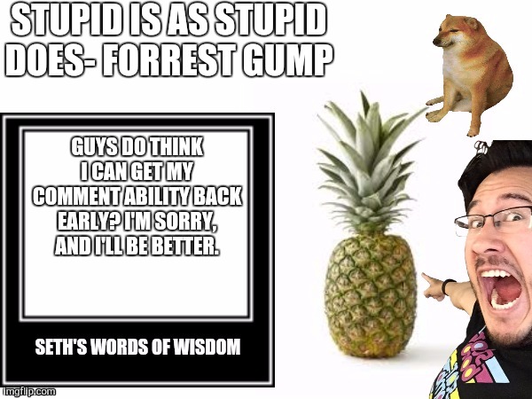 Seth's Ultimate Announcement temp | STUPID IS AS STUPID DOES- FORREST GUMP; GUYS DO THINK I CAN GET MY COMMENT ABILITY BACK EARLY? I'M SORRY, AND I'LL BE BETTER. | image tagged in seth's ultimate announcement temp | made w/ Imgflip meme maker