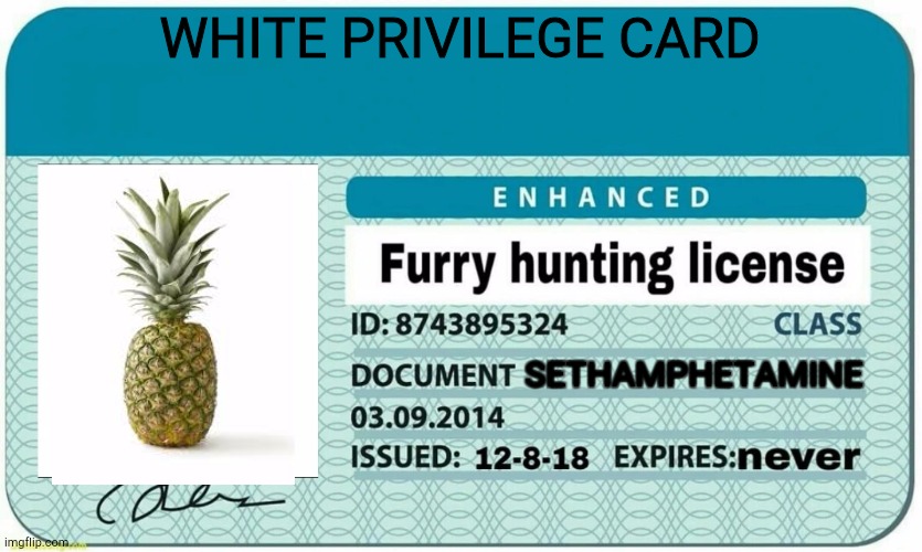 furry hunting license | WHITE PRIVILEGE CARD; SETHAMPHETAMINE | image tagged in furry hunting license | made w/ Imgflip meme maker