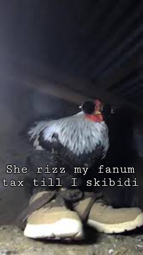 Drip chicken Sp3x_ | She rizz my fanum tax till I skibidi | image tagged in drip chicken sp3x_ | made w/ Imgflip meme maker