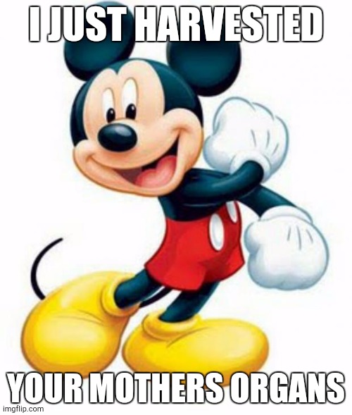 mickey mouse  | I JUST HARVESTED; YOUR MOTHERS ORGANS | image tagged in mickey mouse | made w/ Imgflip meme maker