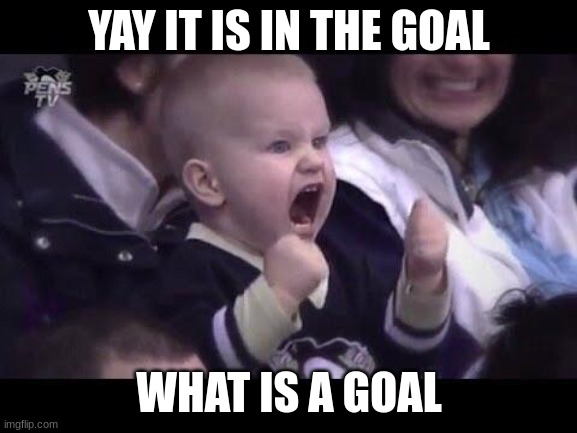 Hockey baby | YAY IT IS IN THE GOAL; WHAT IS A GOAL | image tagged in hockey baby | made w/ Imgflip meme maker