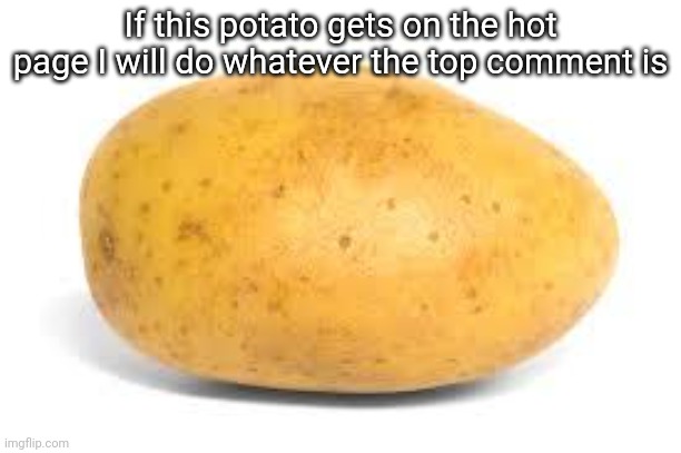 Potato | If this potato gets on the hot page I will do whatever the top comment is | image tagged in potato | made w/ Imgflip meme maker