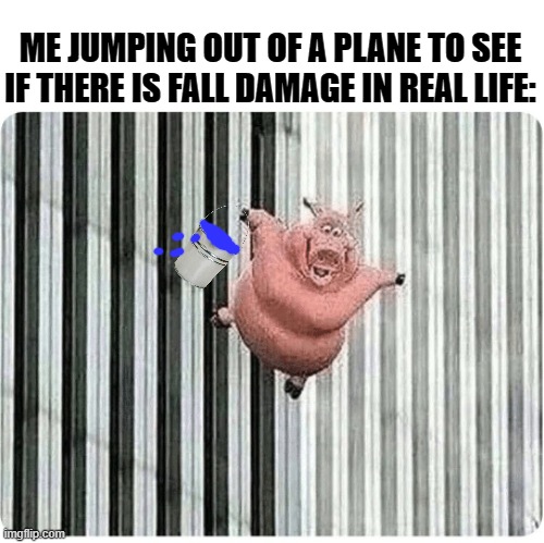 Wish me luck boys! | ME JUMPING OUT OF A PLANE TO SEE IF THERE IS FALL DAMAGE IN REAL LIFE: | image tagged in pig jumping off,fall damage,jumping,out of a plane,dank memes | made w/ Imgflip meme maker