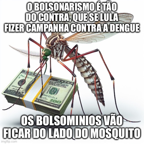 Bolsonarismo dengue | O BOLSONARISMO É TÃO DO CONTRA, QUE SE LULA FIZER CAMPANHA CONTRA A DENGUE; OS BOLSOMINIOS VÃO FICAR DO LADO DO MOSQUITO | image tagged in mosquito da dengue com dinheiro,bolsonarismo,lula,extrema direita,enchente,porto alegre | made w/ Imgflip meme maker