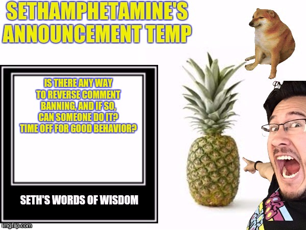 Seth's announcement temp | IS THERE ANY WAY TO REVERSE COMMENT BANNING, AND IF SO, CAN SOMEONE DO IT? TIME OFF FOR GOOD BEHAVIOR? | image tagged in seth's announcement temp | made w/ Imgflip meme maker