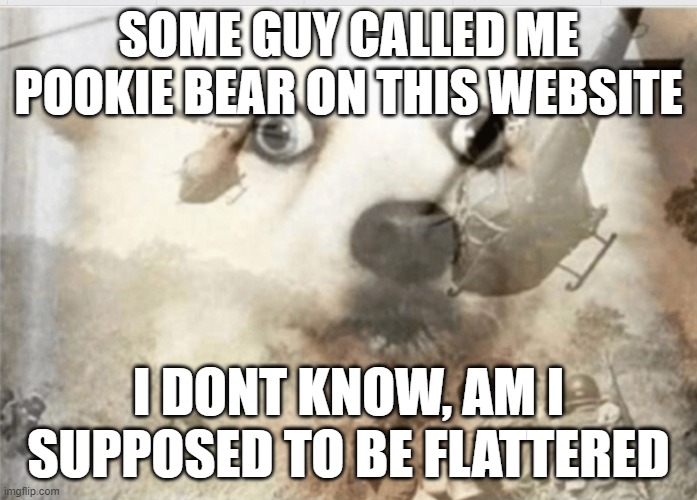 ME SCARED | SOME GUY CALLED ME POOKIE BEAR ON THIS WEBSITE; I DONT KNOW, AM I SUPPOSED TO BE FLATTERED | image tagged in ptsd dog,help me,ptsd chihuahua,dog,im in danger,send help | made w/ Imgflip meme maker