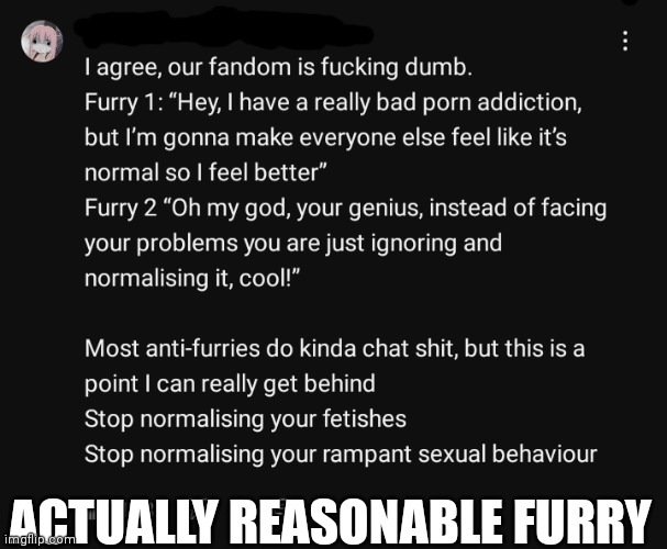 A reasonable furry calls out the horny ones: | ACTUALLY REASONABLE FURRY | image tagged in based,anti furry,fax,mega based | made w/ Imgflip meme maker