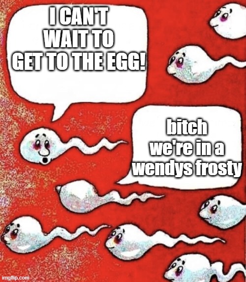 Sperm talk | I CAN'T WAIT TO GET TO THE EGG! bitch we're in a wendys frosty | image tagged in sperm talk | made w/ Imgflip meme maker