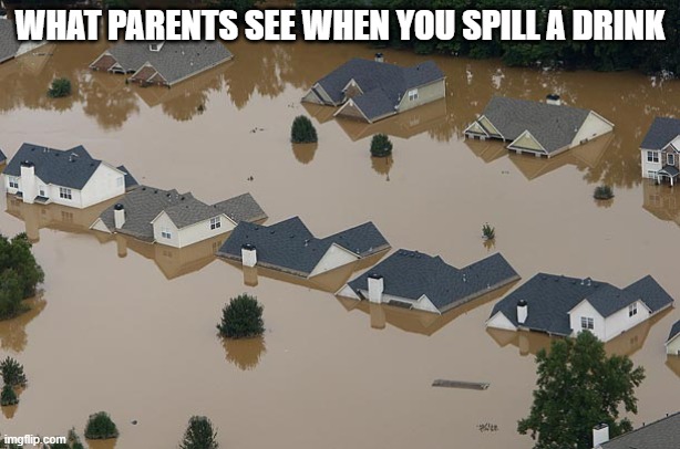 literally | WHAT PARENTS SEE WHEN YOU SPILL A DRINK | image tagged in flood,memes | made w/ Imgflip meme maker