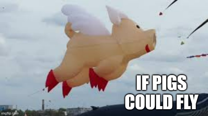 memes by Brad - If pigs could fly kite - humor | IF PIGS COULD FLY | image tagged in funny,sports,kite,pigs,funny meme,humor | made w/ Imgflip meme maker