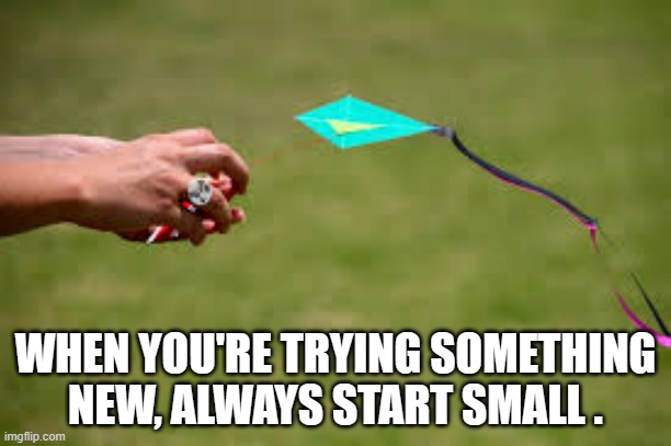 memes by Brad - flying a tiny kite | WHEN YOU'RE TRYING SOMETHING NEW, ALWAYS START SMALL . | image tagged in funny,sports,funny meme,kite,humor,pig | made w/ Imgflip meme maker