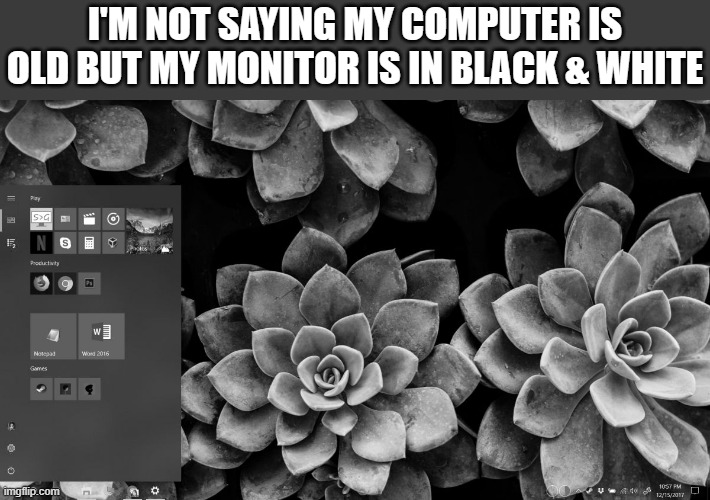 memes by Brad - my monitor is still black & white | I'M NOT SAYING MY COMPUTER IS OLD BUT MY MONITOR IS IN BLACK & WHITE | image tagged in funny,gaming,pc gaming,computer,video games,computer games | made w/ Imgflip meme maker