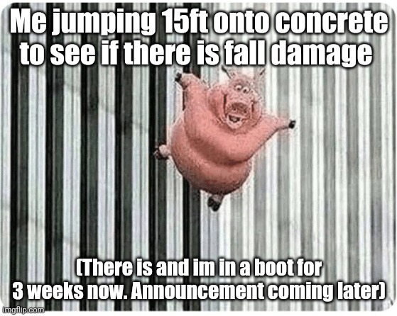 So silly guys | Me jumping 15ft onto concrete to see if there is fall damage; (There is and im in a boot for 3 weeks now. Announcement coming later) | image tagged in pig jumping off,never forget | made w/ Imgflip meme maker
