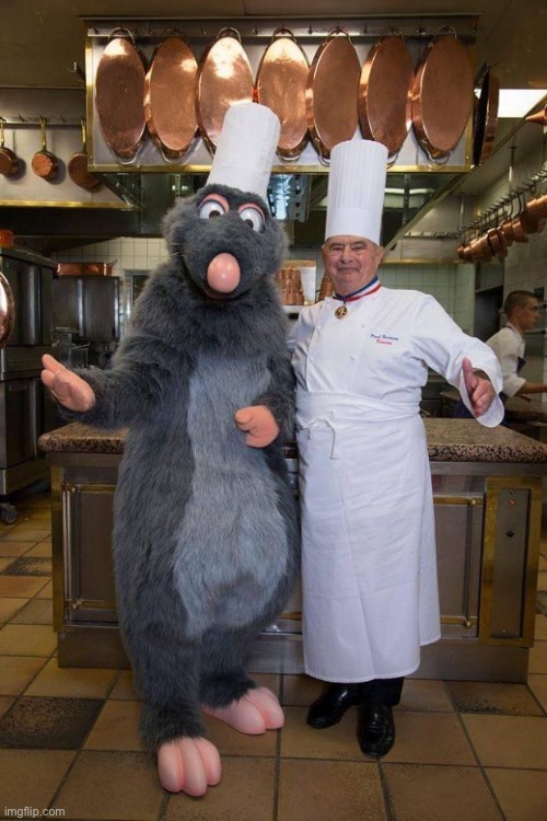 Ratatouille | image tagged in ratatouille | made w/ Imgflip meme maker