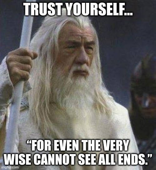 gandalf | TRUST YOURSELF... “FOR EVEN THE VERY WISE CANNOT SEE ALL ENDS.” | image tagged in gandalf | made w/ Imgflip meme maker