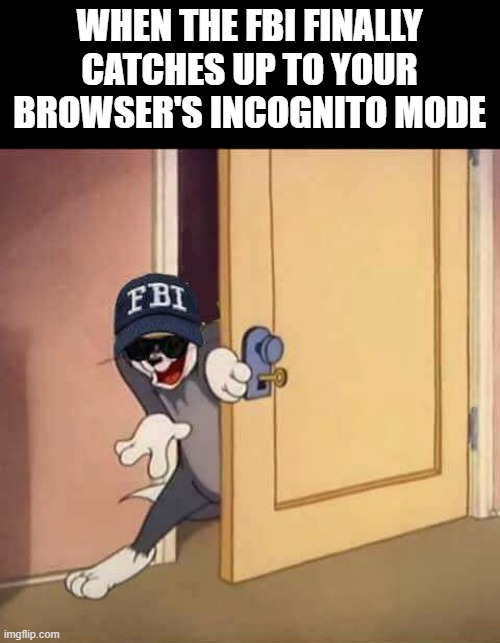 incognito | WHEN THE FBI FINALLY CATCHES UP TO YOUR BROWSER'S INCOGNITO MODE | image tagged in memes | made w/ Imgflip meme maker
