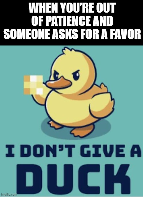 I don't give a duck | WHEN YOU’RE OUT OF PATIENCE AND SOMEONE ASKS FOR A FAVOR | image tagged in memes | made w/ Imgflip meme maker