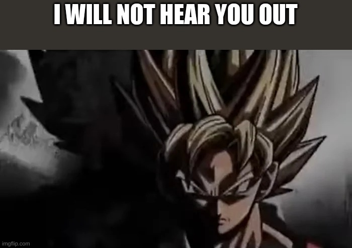 Goku Staring | I WILL NOT HEAR YOU OUT | image tagged in goku staring | made w/ Imgflip meme maker