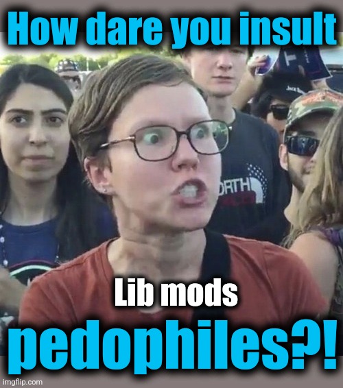 How dare you insult pedophiles?! Lib mods | image tagged in triggered feminist | made w/ Imgflip meme maker