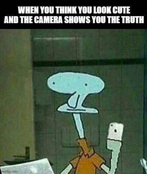 Truth Hurts | WHEN YOU THINK YOU LOOK CUTE AND THE CAMERA SHOWS YOU THE TRUTH | image tagged in memes | made w/ Imgflip meme maker