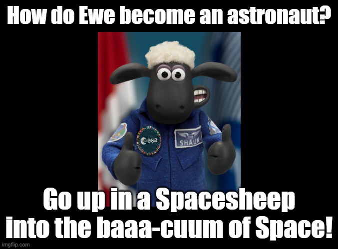 Baaa-cuum | How do Ewe become an astronaut? Go up in a Spacesheep into the baaa-cuum of Space! | image tagged in blank black,sheep,space,astronaut,pun | made w/ Imgflip meme maker