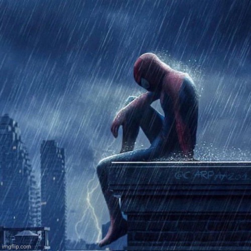image tagged in spiderman in rain | made w/ Imgflip meme maker