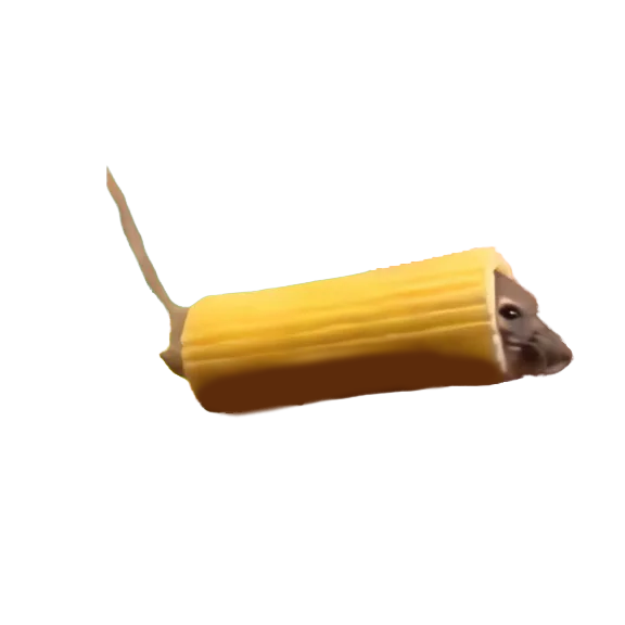 mouse in pasta Blank Meme Template