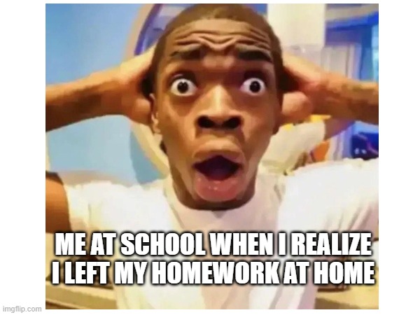 realizing I left my homework at home | ME AT SCHOOL WHEN I REALIZE I LEFT MY HOMEWORK AT HOME | image tagged in funny memes | made w/ Imgflip meme maker