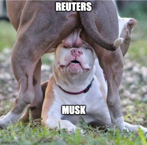 Reuters vs Molusk | REUTERS; MUSK | image tagged in alpha dog teabag | made w/ Imgflip meme maker
