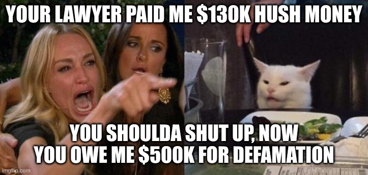 hush money | YOUR LAWYER PAID ME $130K HUSH MONEY; YOU SHOULDA SHUT UP, NOW YOU OWE ME $500K FOR DEFAMATION | image tagged in woman yelling at smudge the cat | made w/ Imgflip meme maker