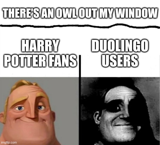heheh. | THERE'S AN OWL OUT MY WINDOW; DUOLINGO USERS; HARRY POTTER FANS | image tagged in teacher's copy | made w/ Imgflip meme maker