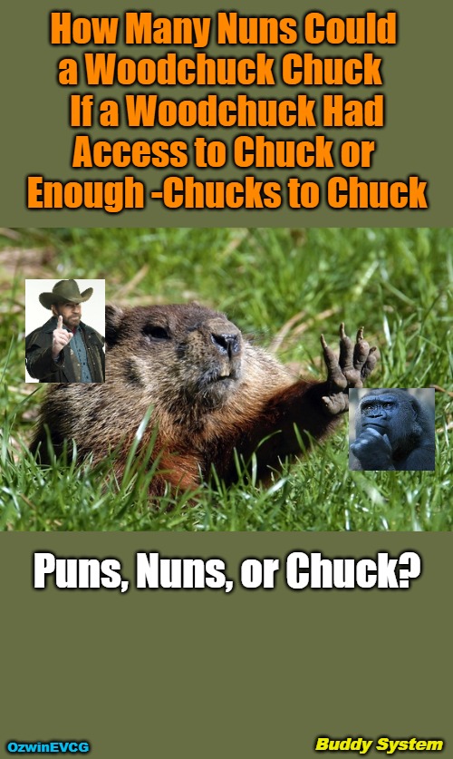 Buddy System | How Many Nuns Could 

a Woodchuck Chuck  

If a Woodchuck Had

Access to Chuck or 

Enough -Chucks to Chuck; Puns, Nuns, or Chuck? Buddy System; OzwinEVCG | image tagged in woodchuck nope,memes,chuck norris finger,deep thoughts,punning amok,group projects | made w/ Imgflip meme maker