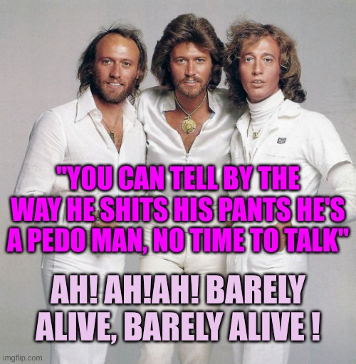 Bee Gees | "YOU CAN TELL BY THE WAY HE SHITS HIS PANTS HE'S A PEDO MAN, NO TIME TO TALK" AH! AH!AH! BARELY ALIVE, BARELY ALIVE ! | image tagged in bee gees | made w/ Imgflip meme maker