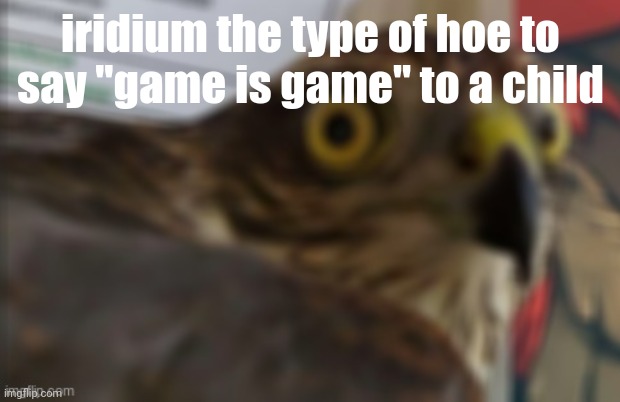 shocked bird | iridium the type of hoe to say "game is game" to a child | image tagged in shocked bird | made w/ Imgflip meme maker