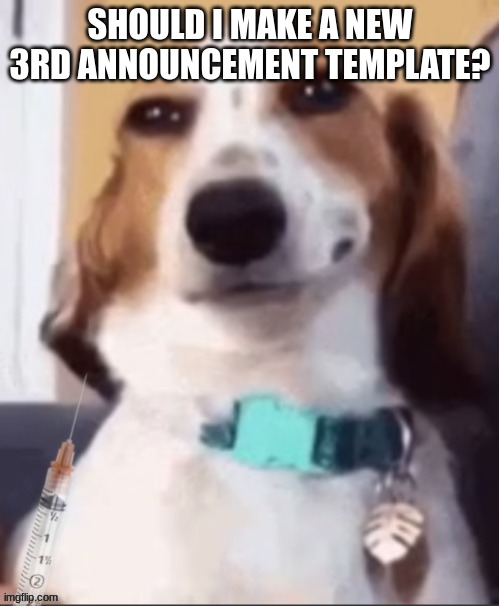 Cure dog | SHOULD I MAKE A NEW 3RD ANNOUNCEMENT TEMPLATE? | image tagged in cure dog | made w/ Imgflip meme maker