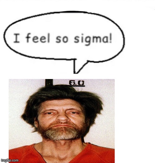 I feel so sigma! | image tagged in i feel so sigma | made w/ Imgflip meme maker