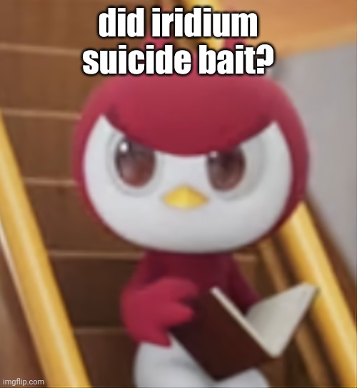 BOOK ❗️ | did iridium suicide bait? | image tagged in book | made w/ Imgflip meme maker