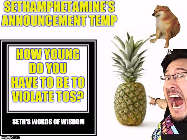 Seth's announcement temp | HOW YOUNG DO YOU HAVE TO BE TO VIOLATE TOS? | image tagged in seth's announcement temp | made w/ Imgflip meme maker