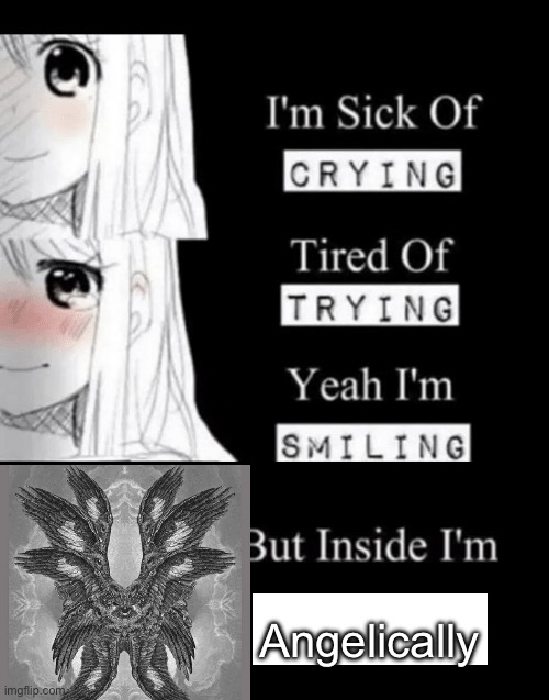 Idk | Angelically | image tagged in i'm sick of crying | made w/ Imgflip meme maker